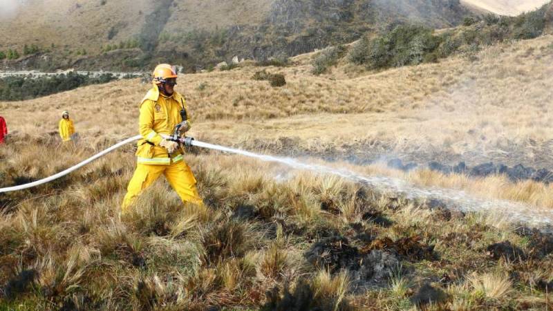 incendios forestales