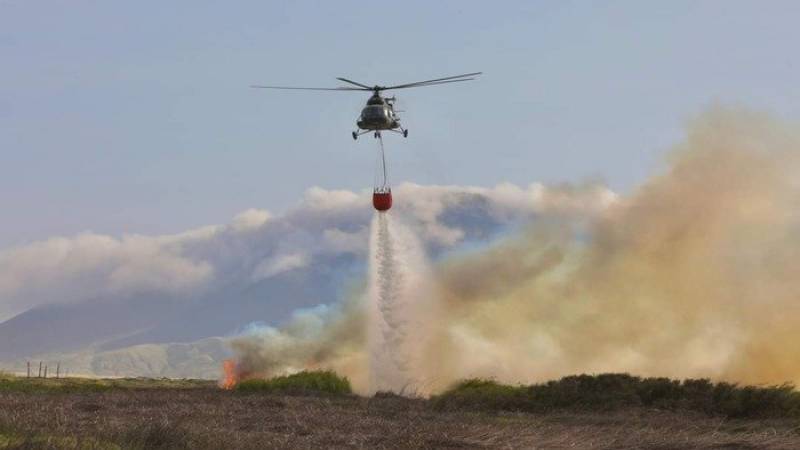 incendios forestales