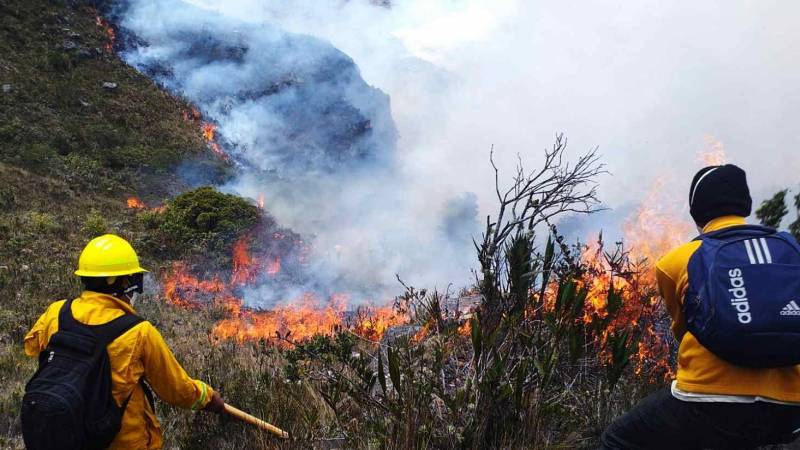 incendios forestales peru