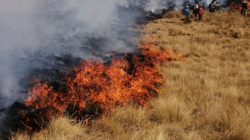 Incendios forestales INDECI COEN Centro de Operaciones de Emergencia Nacional COER Apurímac Áncash cultivos