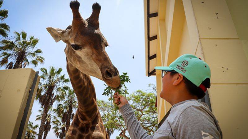 Mundo Zoo Chef y Exhibición de Lobos Marinos