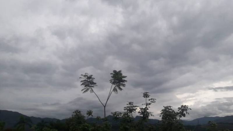 lluvias en la selva