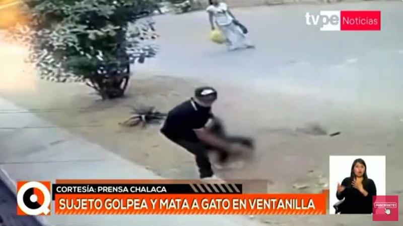 Ventanilla: sujeto mata a golpes a gato en plena vía pública