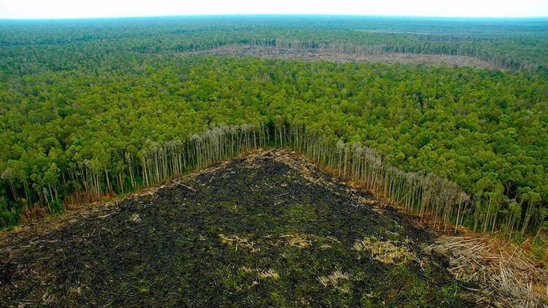 medioambiente