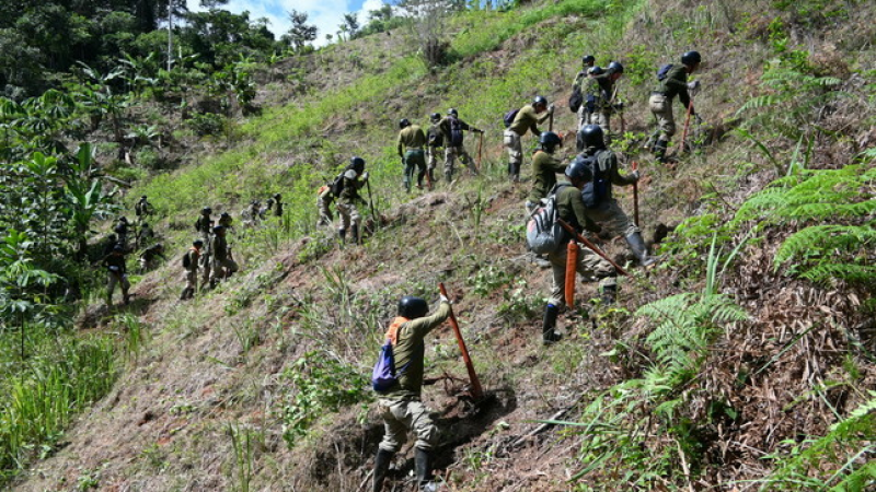 Mininter erradica más de 6 700 hectáreas de cultivos ilegales de hoja de coca en cuatro regiones