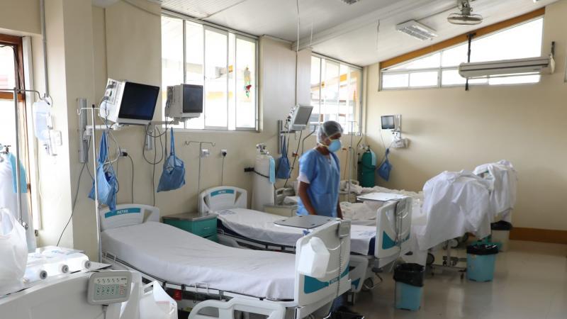 Minsa dengue descenso de casos serotipos genotipos