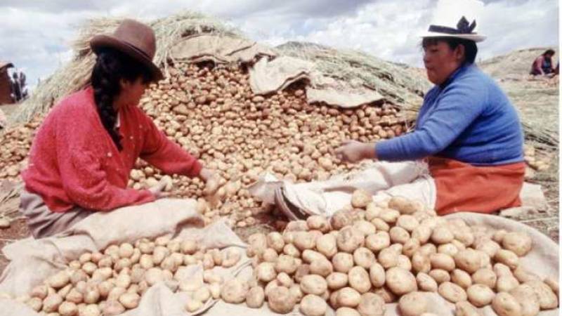 Dia Internacional de la Mujer 