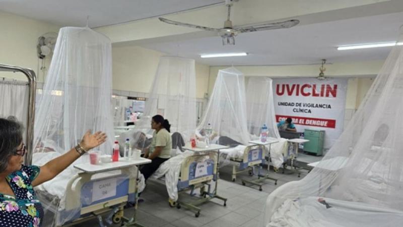Minsa intensifica lucha contra el dengue en Lima 