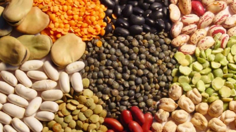 Legumbres, un alimento nutritivo para consumir en la semana