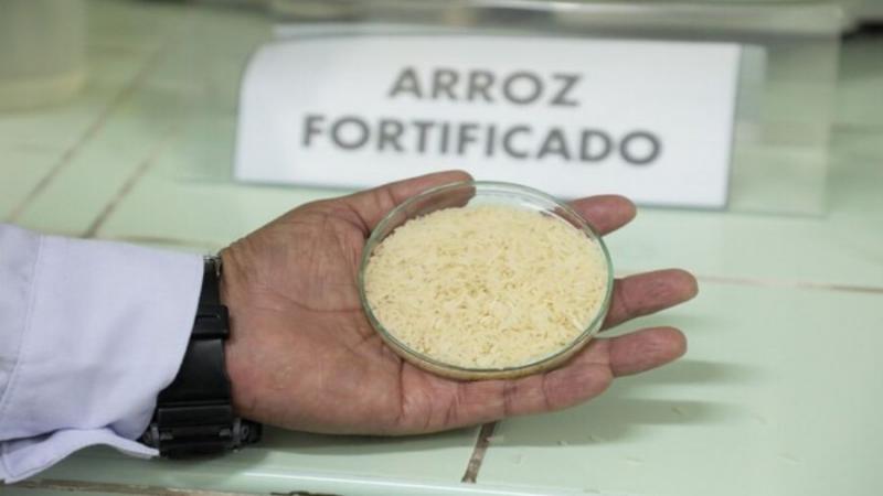 Conoce los beneficios del arroz fortificado 