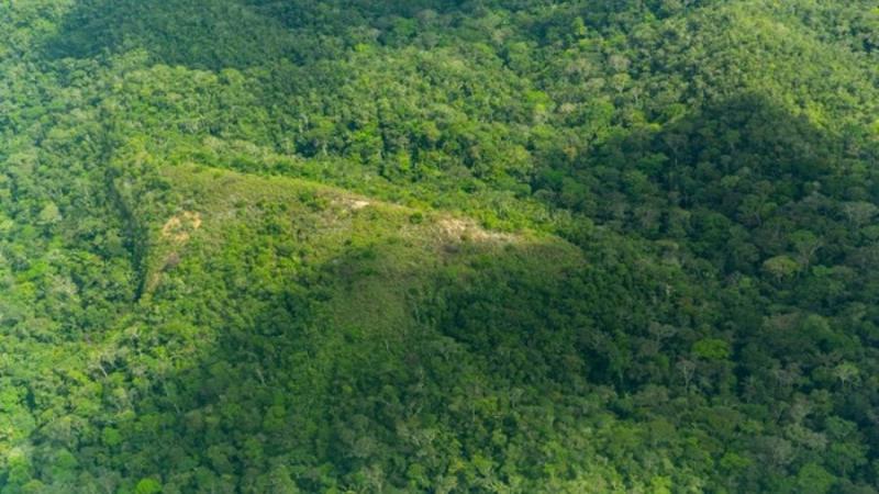Sierra del Divisor Occidental: Se crea reserva indígena en regiones de Loreto y Ucayali