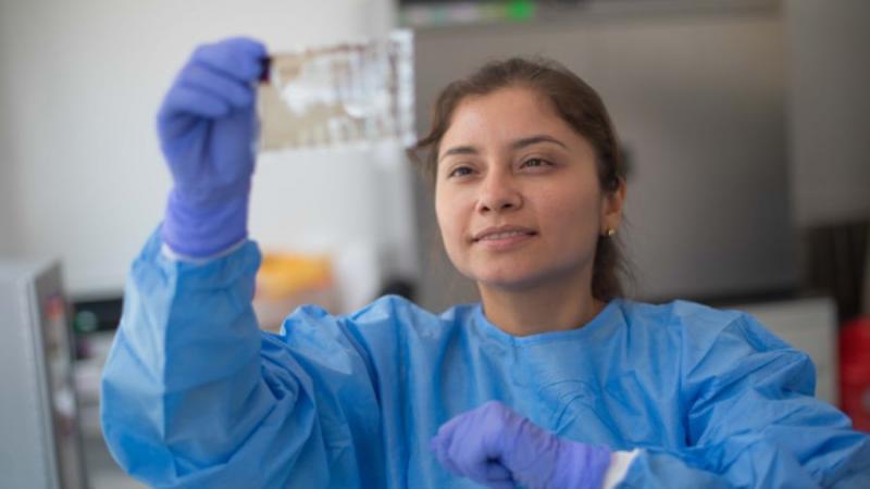 Postula hasta el 1 de julio y estudia un posgrado gracias a la Beca Generación del Bicentenario 2024