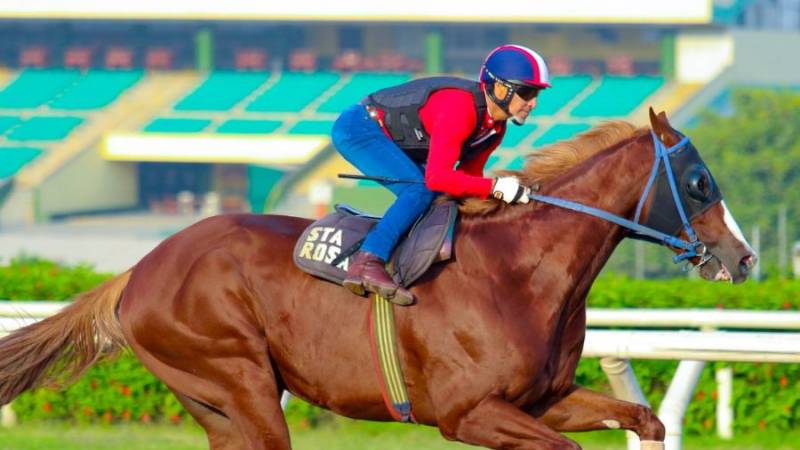 Celebra la pasión por las carreras de caballos en el Jockey Fest 2024