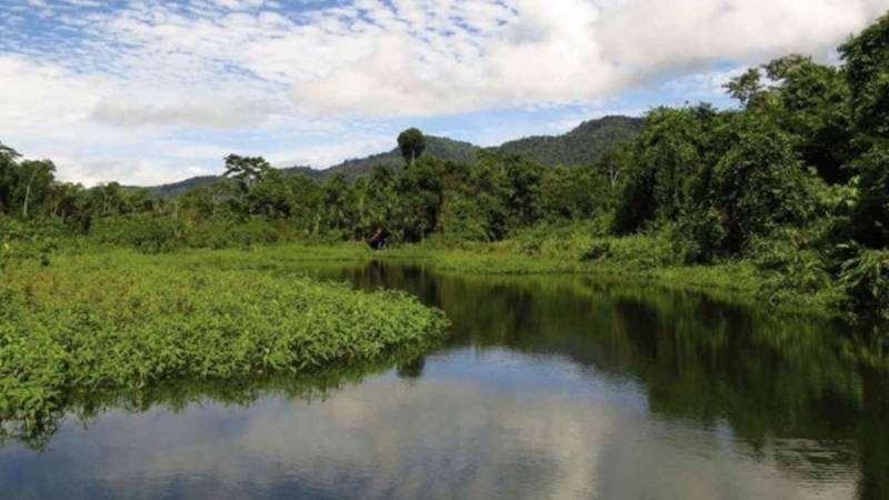 Ministerio del Ambiente promueve el cuidado del ecosistema