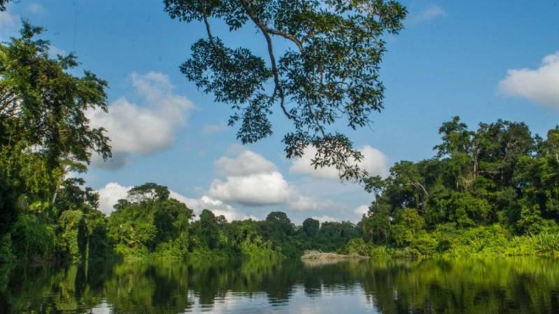 Parque Nacional del Manu