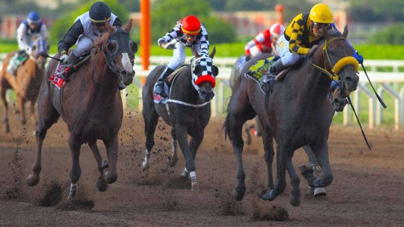 Hipódromo de Monterrico ofrece entrada gratuita para el clásico Independencia