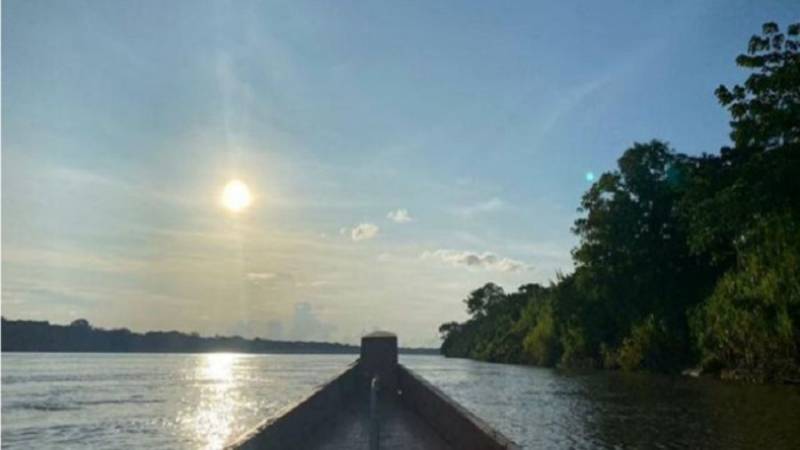 Incremento de la temperatura diurna en la selva