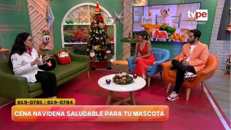 Alimentos para mascotas en Navidad