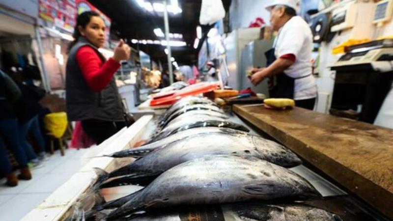 Consume pescado en esta Semana Santa