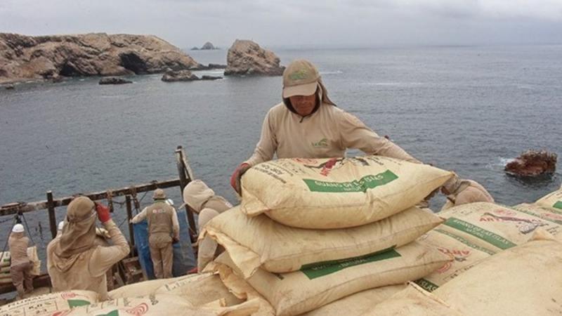 Agro Rural recolectará 24 mil toneladas de guano de las islas para fortalecer el agro nacional