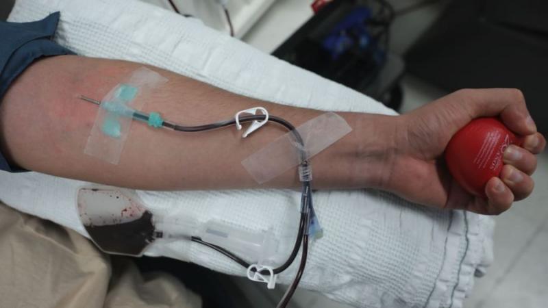 Día Mundial de la Hemofilia: aproximadamente 3400 peruanos sufren de esta enfermedad