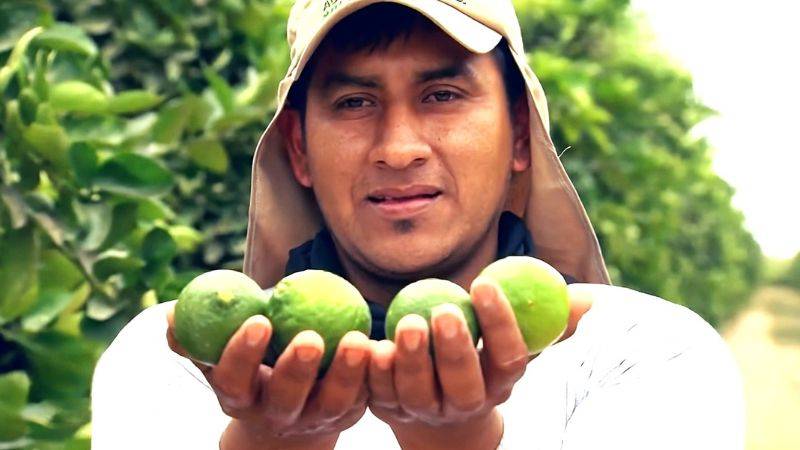 nueva temporada de Mercado peruano en TVPerú