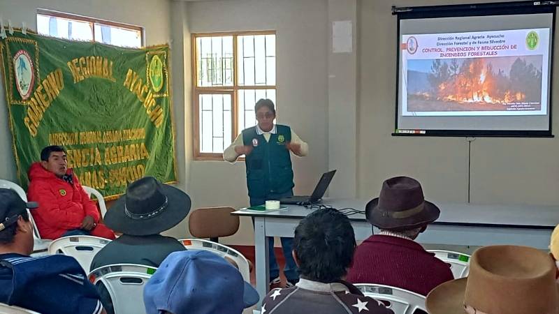 pais ayacucho gobierno regional incendio forestal