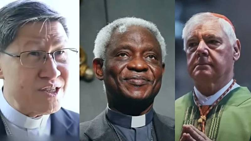 papa vaticano africano francisco 
