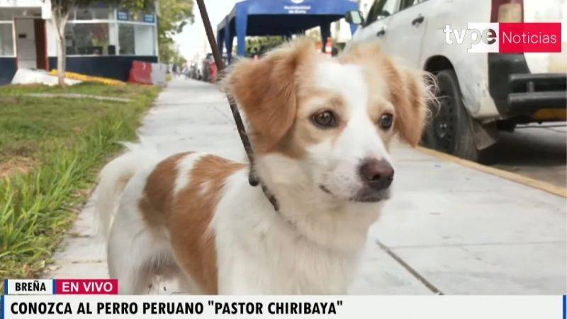 pastor chiribaya