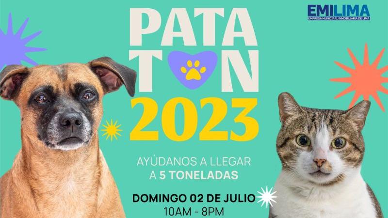 PATATÓN 2023