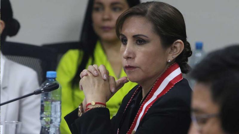 Patricia Benavides: Poder Judicial  tutela de derechos