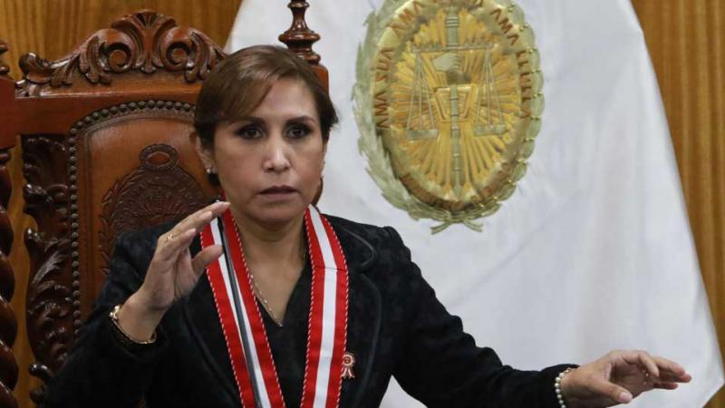 Patricia Benavides denuncia constitucional 