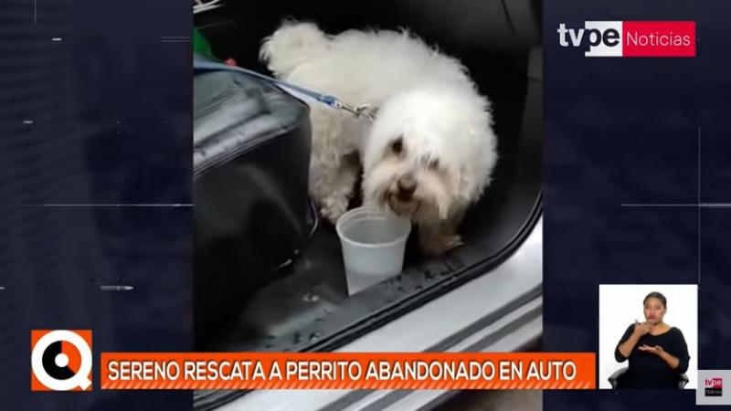 Pueblo Libre: sereno rompe luna de auto para rescatar a perrito deshidratado 