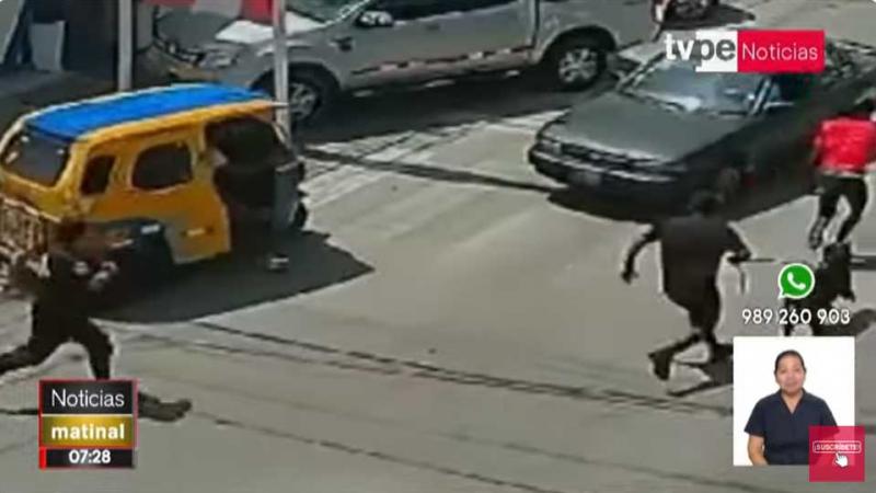 SJM: perro rottweiler delincuente captura
