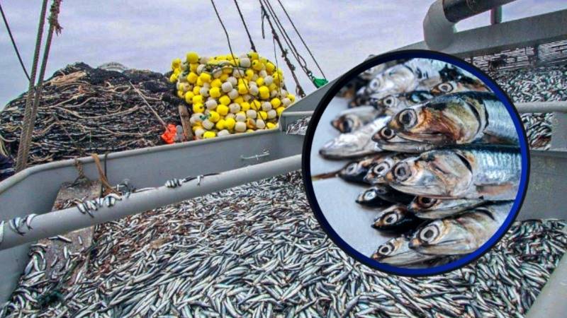 pesca produce