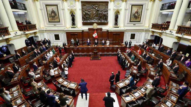 Congreso  facultades legislativas  Ejecutivo  seguridad ciudadana