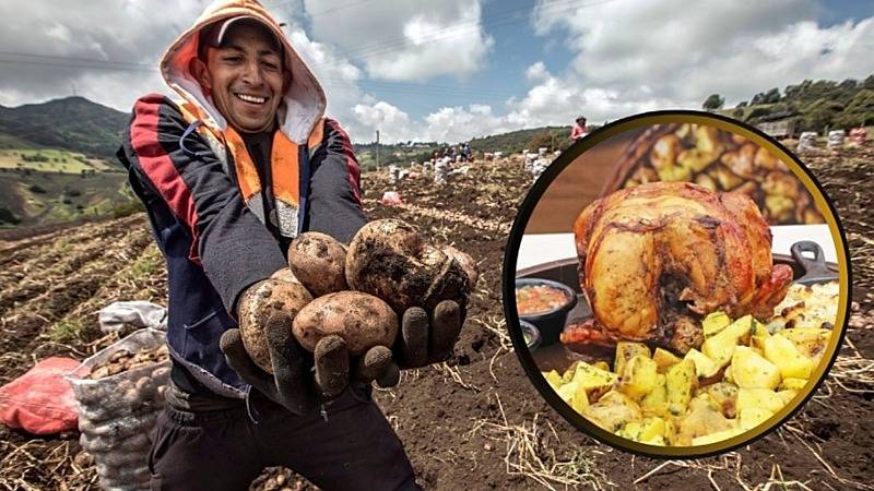 Midagri día del pollo a la brasa avícola agricultura