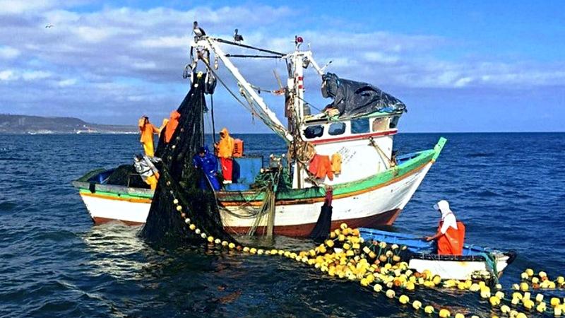 Produce Pesca gobierno 