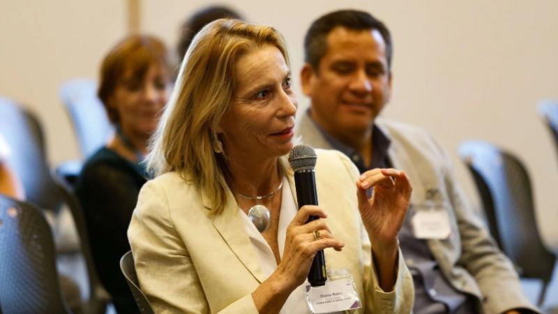 Directora Diana Rake del Instituto de Ingenieros de Minas del Perú (IIMP). Mineras proyectos mineros