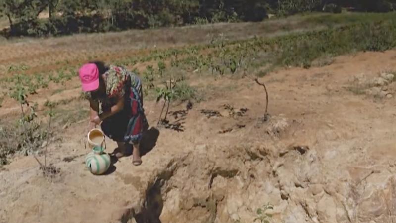Guatemala cambio climático sequía migración