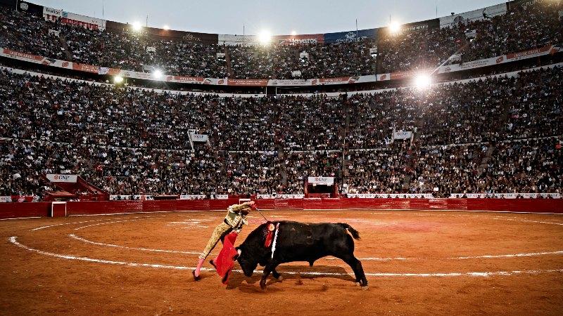 Tauromaquia Plaza México protestas toro