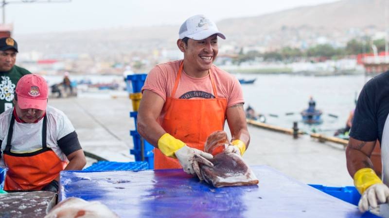 produce pescadores mar pescadores artesanales fondepes