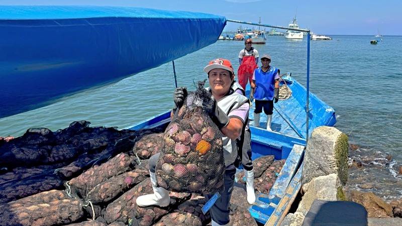 mariscos produce pesca mariscos 