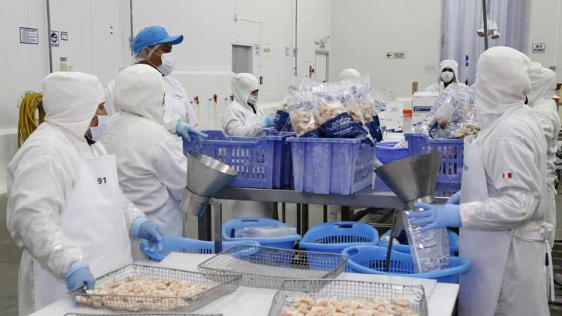 productos de la acuicultura 