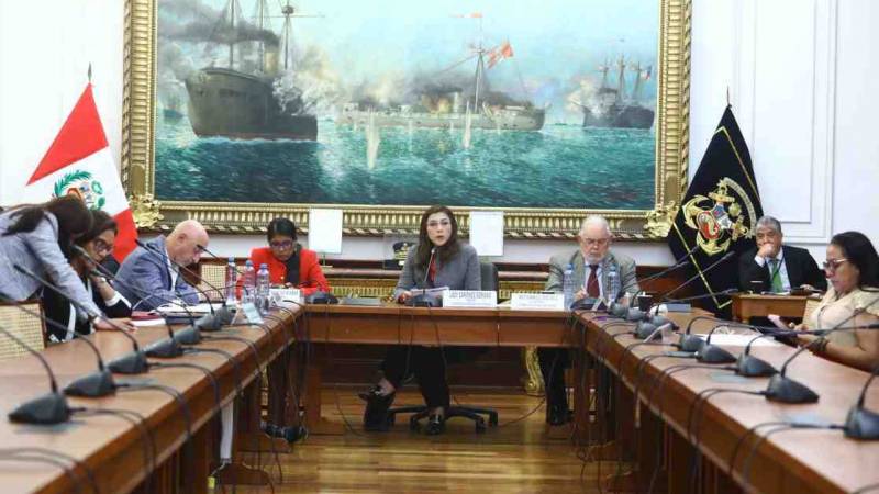 denuncia constitucional presidenta Dina Boluarte