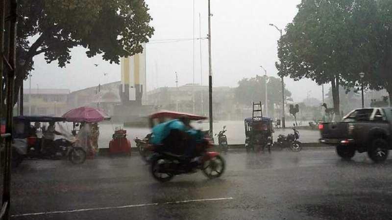 LLUVIA EN LA SELVA