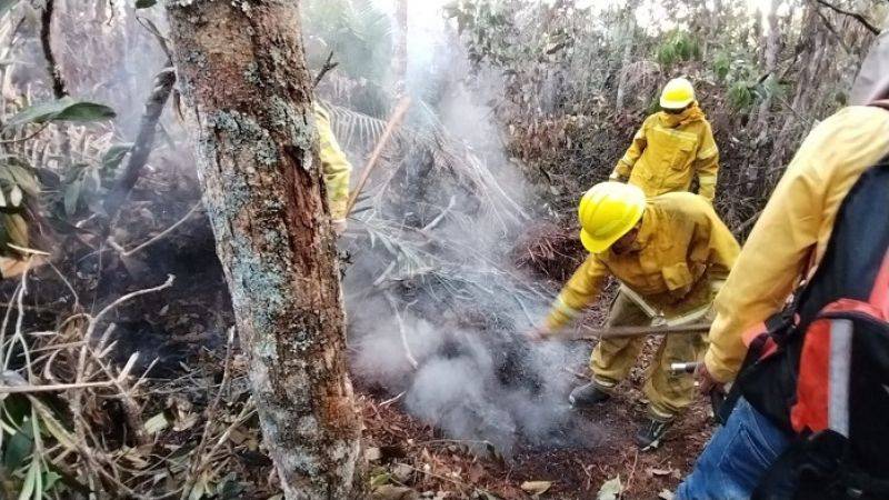 Sernanp - Guardabosques en incendios forestales