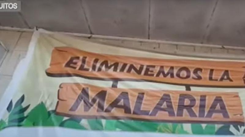 Iquitos: se registran más de 500 casos de malaria