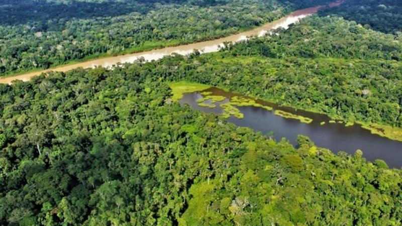 Gobierno peruano priorizará la conservación de bosques amazónicos