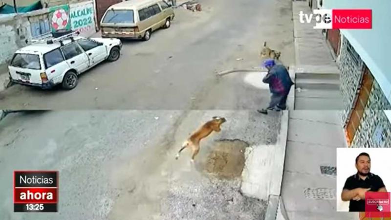 Tacna: anciano ataque por perros 